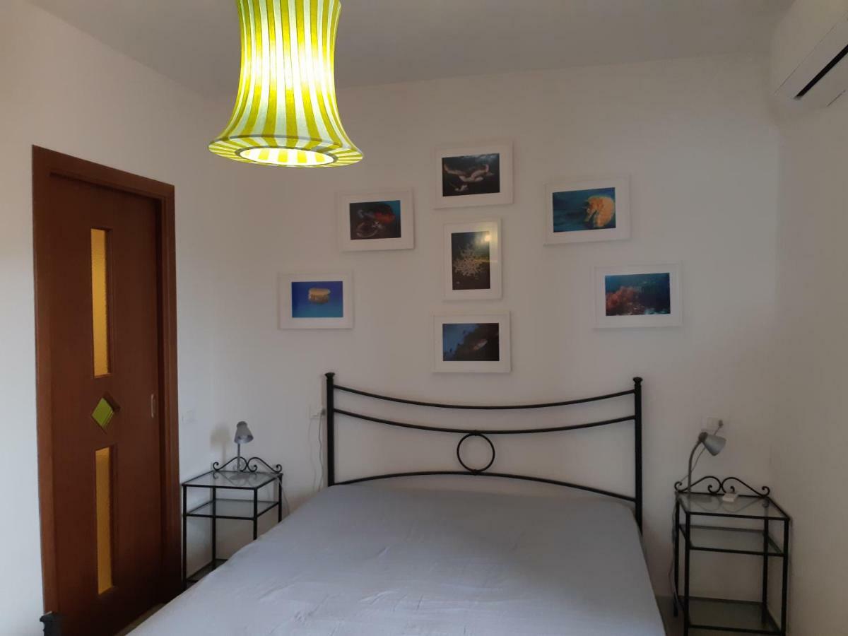 Campese Apartments Экстерьер фото