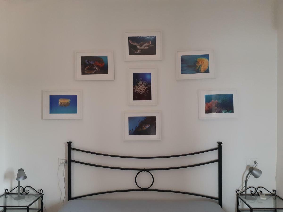 Campese Apartments Экстерьер фото